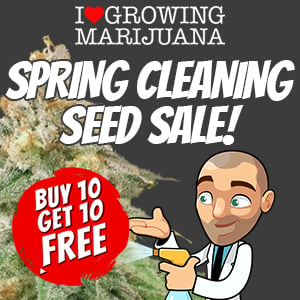 2023 Spring Cleaning Seed Sale at ILGM